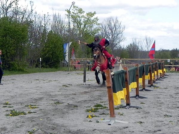 Valle Marknad 2011